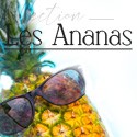 Ananas argent