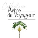 Arbre du voyageur argent