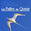 Pailles en queue