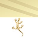 animaux