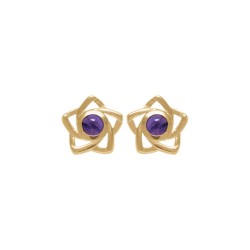 GOLD PLATED EARRINGS