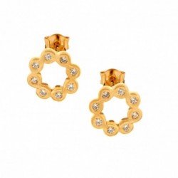 Boucles d'Oreilles Plaqu