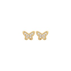 BO P.OR PAPILLONS OZ